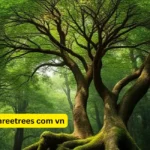 health threetrees com vn